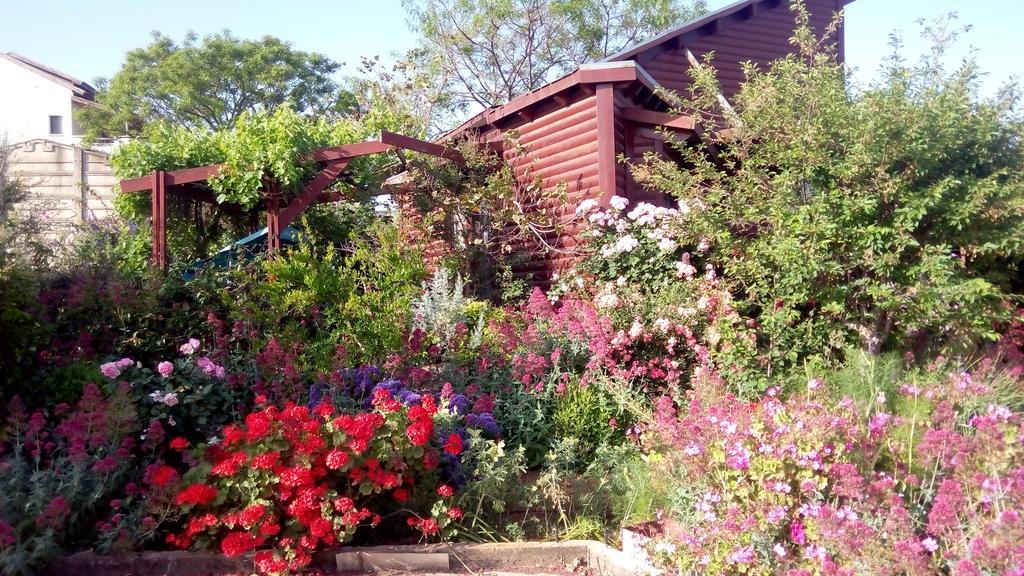 Vila Hahar Aatzil Hazon Exteriér fotografie